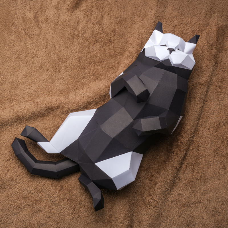 Bambu lab Cardstock 250g (25 stk.)