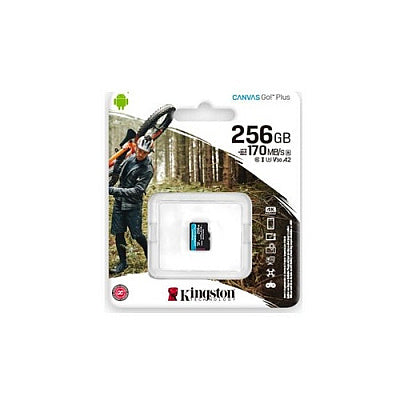 Kingston Canvas Go Plus 256GB MicroSDXC A2 U3 V30 (SDCG3/256GBSP)