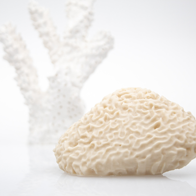 ColorFabb allPHA - 1.75mm 750g